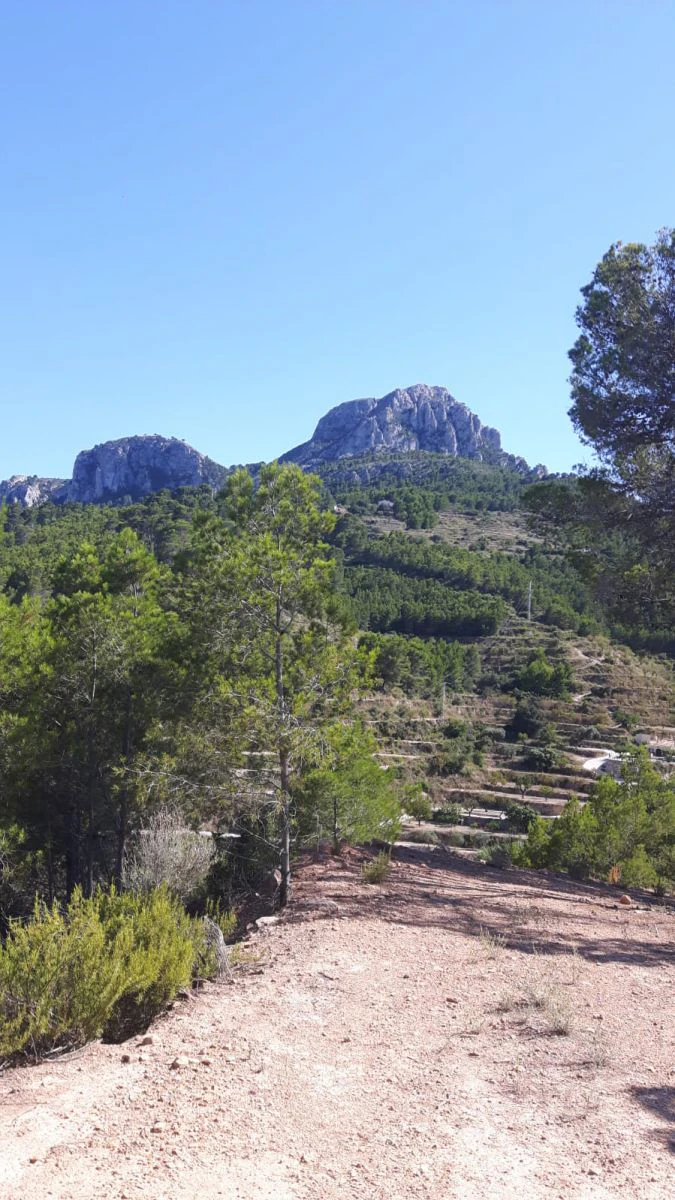 Parcela en venta en Pda. Casamia, Benissa, Alicante
