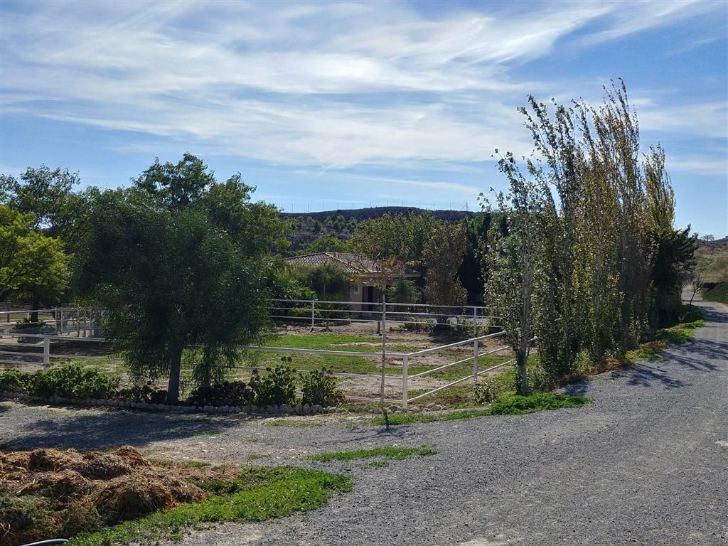 Finca en venta en Polígonos, Elche/elx, Alicante