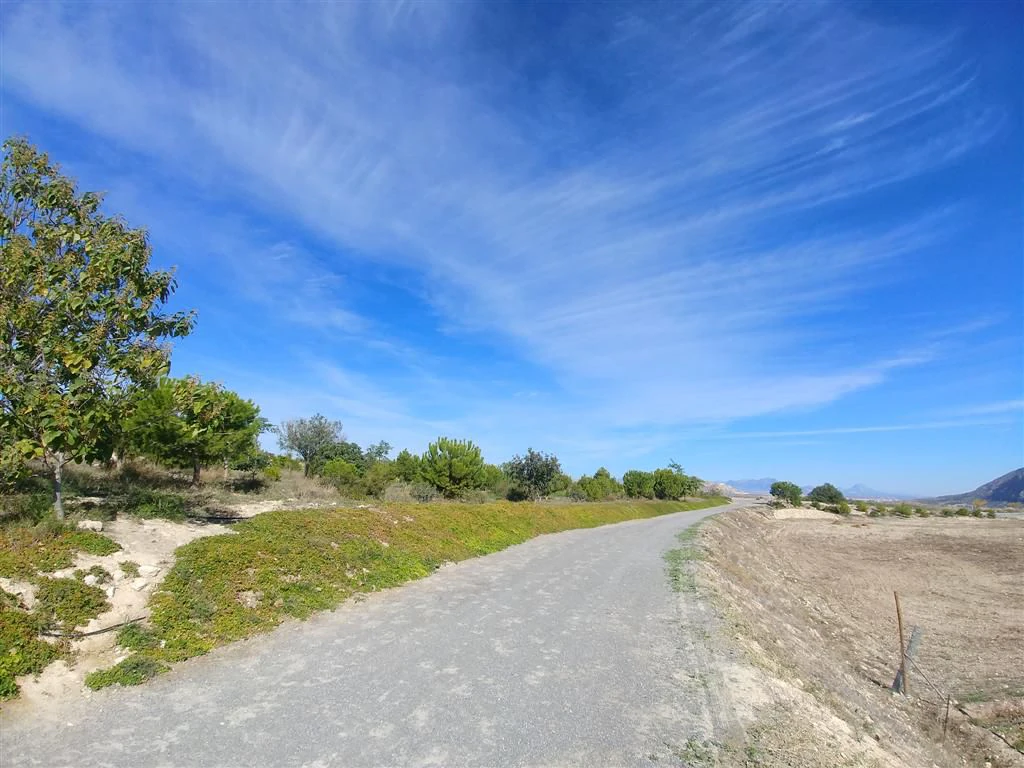 Finca en venta en Polígonos, Elche/elx, Alicante