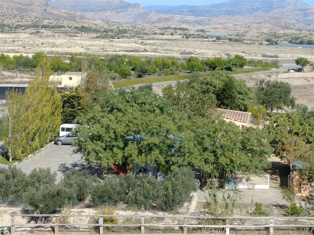 Finca en venta en Polígonos, Elche/elx, Alicante