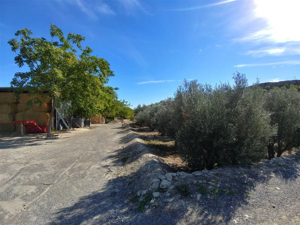 Finca en venta en Polígonos, Elche/elx, Alicante