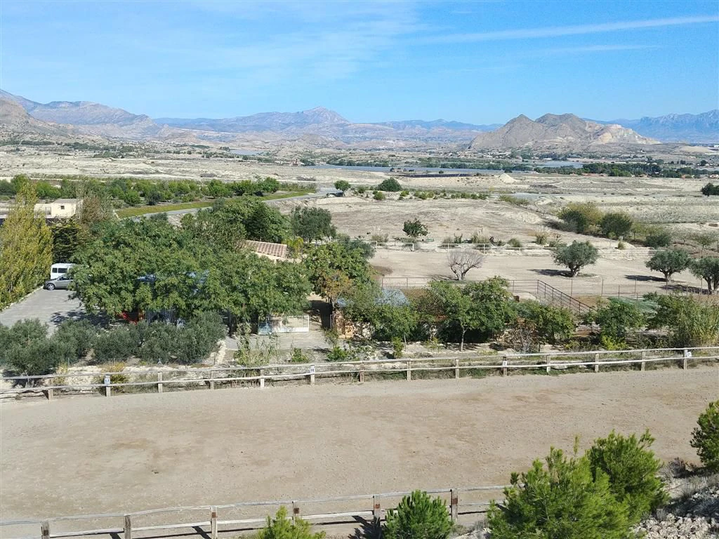 Finca en venta en Polígonos, Elche/elx, Alicante