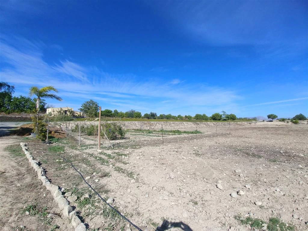 Finca en venta en Polígonos, Elche/elx, Alicante