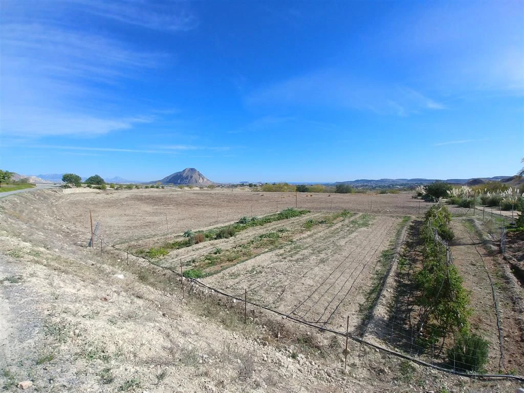 Finca en venta en Polígonos, Elche/elx, Alicante