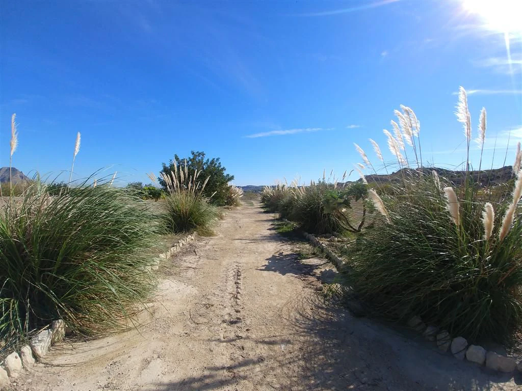 Finca en venta en Polígonos, Elche/elx, Alicante