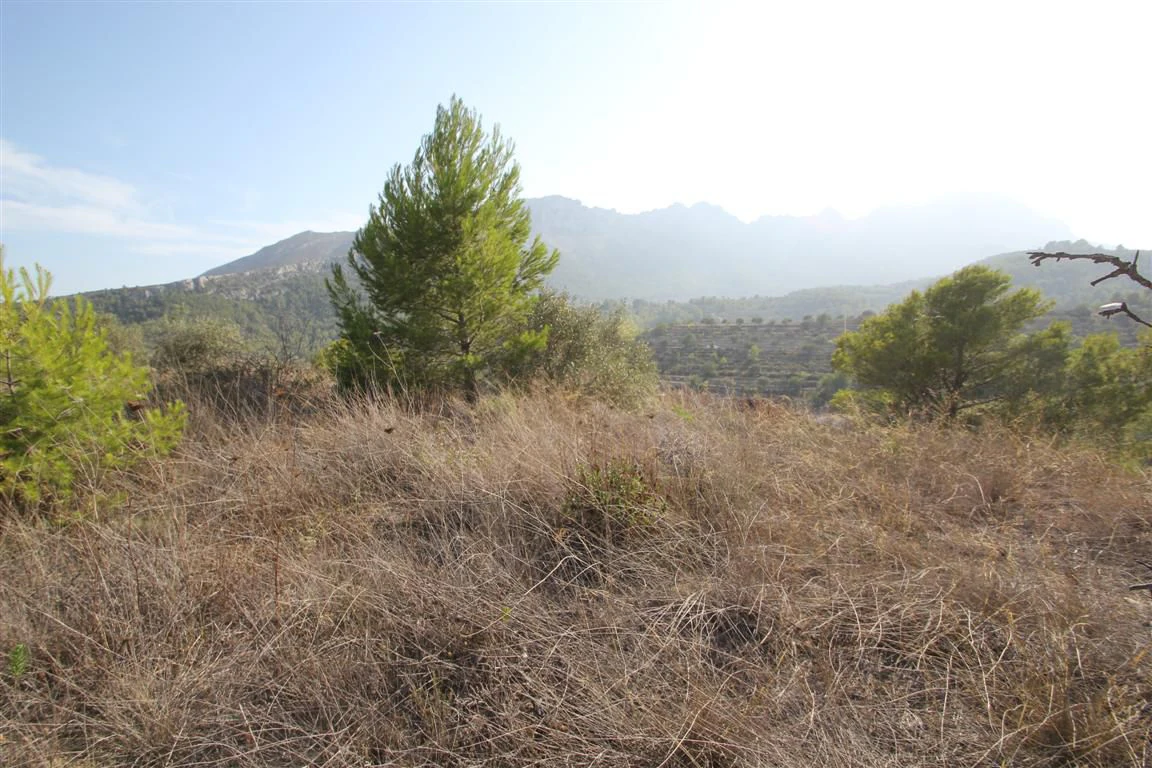 Parcela en venta en Pinos, Benissa, Alicante