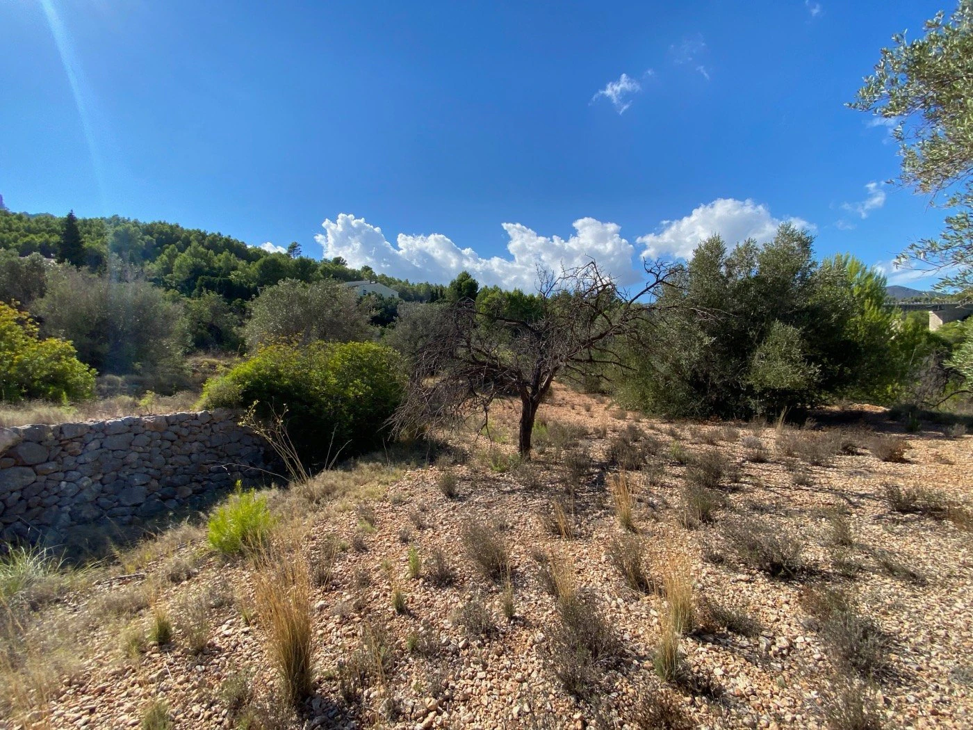 Terreno rústico bien situado, bastante llano, en zona rural cerca de Calpe.