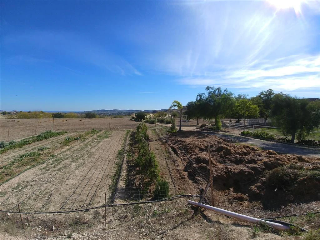 Finca en venta en Polígonos, Elche/elx, Alicante