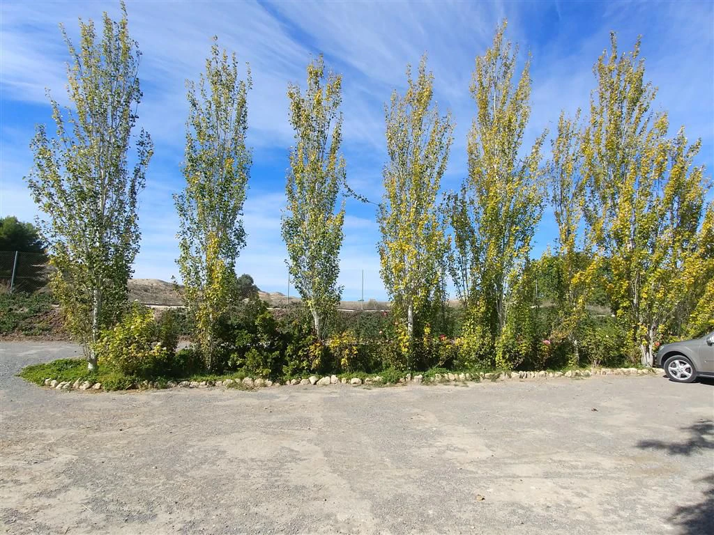 Finca en venta en Polígonos, Elche/elx, Alicante