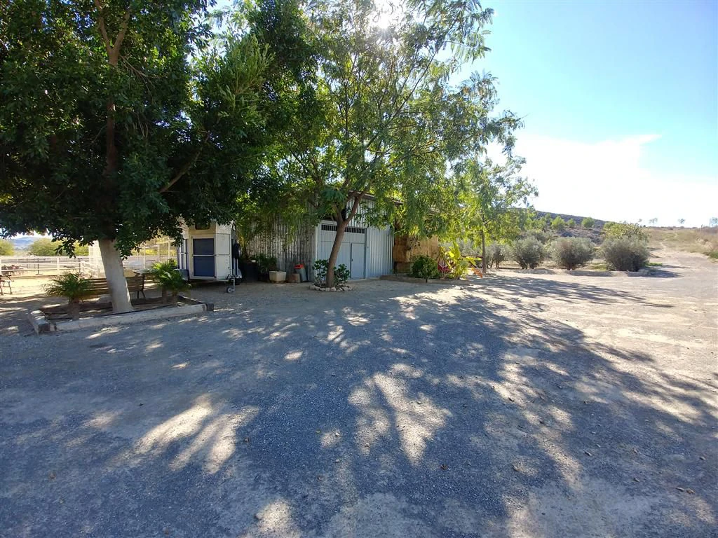 Finca en venta en Polígonos, Elche/elx, Alicante