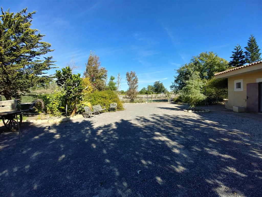 Finca en venta en Polígonos, Elche/elx, Alicante