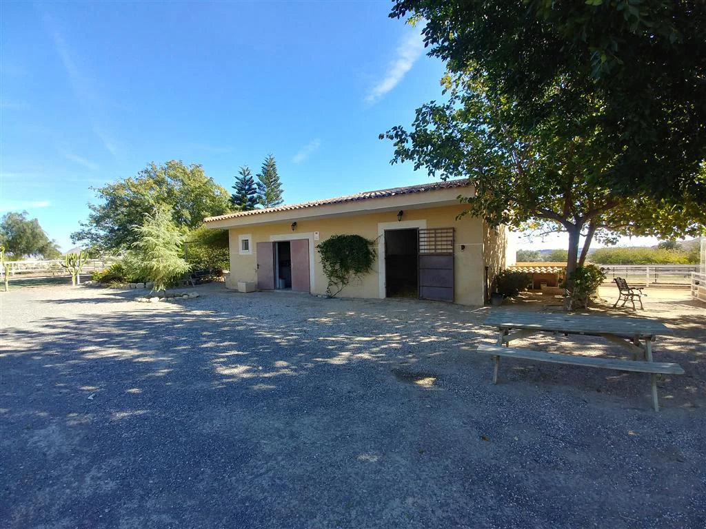 Finca en venta en Polígonos, Elche/elx, Alicante