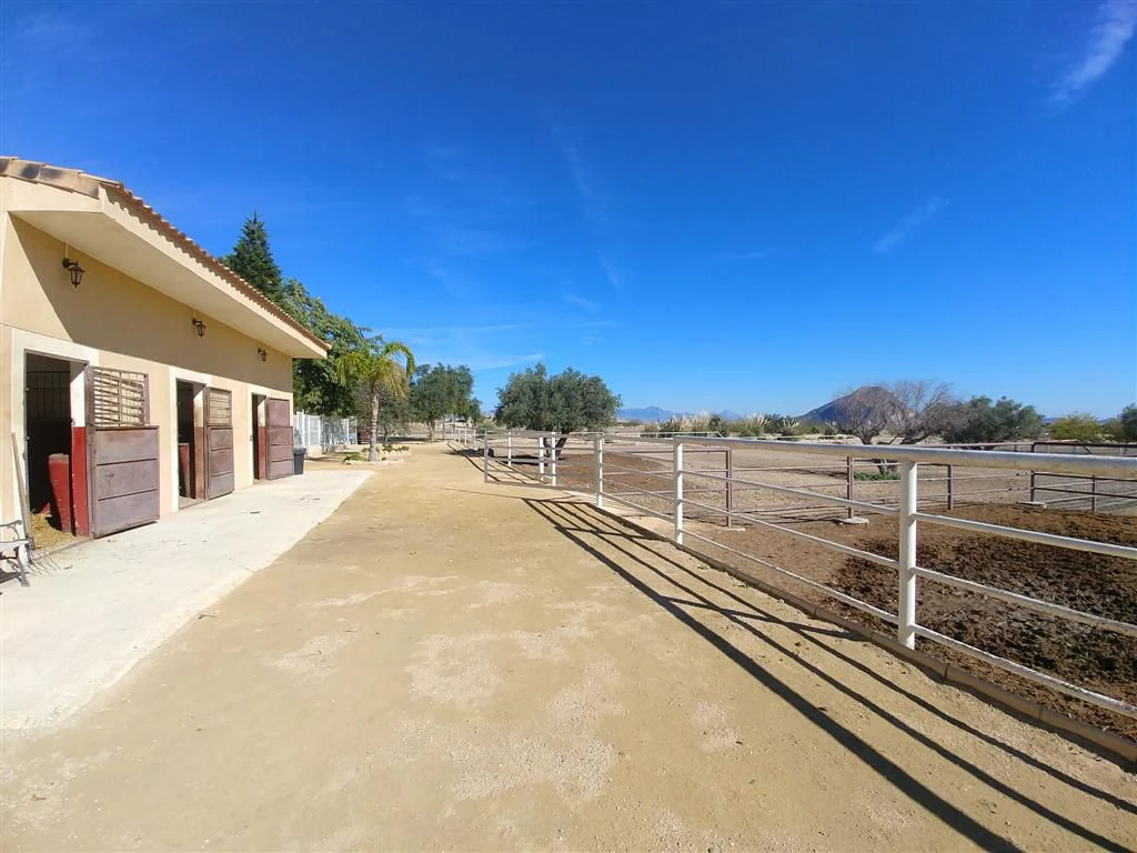 Finca en venta en Polígonos, Elche/elx, Alicante