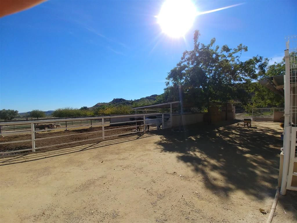 Finca en venta en Polígonos, Elche/elx, Alicante