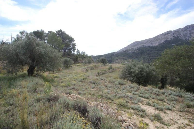 Parcela en venta en Pinos, Benissa, Alicante