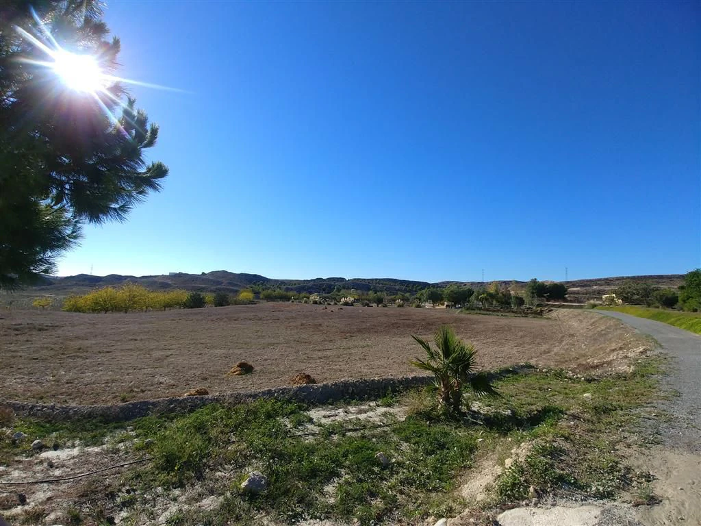 Finca en venta en Polígonos, Elche/elx, Alicante