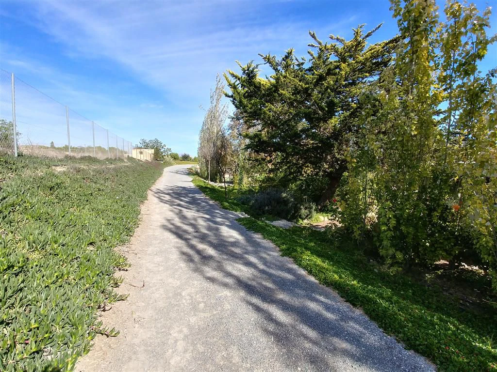 Finca en venta en Polígonos, Elche/elx, Alicante