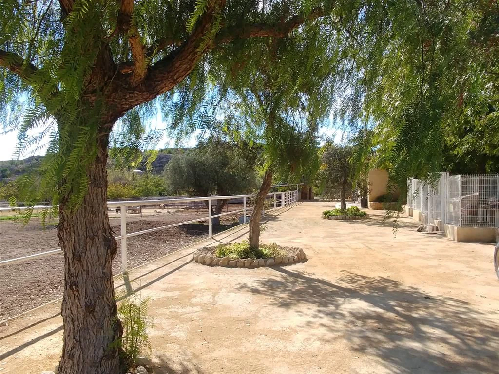 Finca en venta en Polígonos, Elche/elx, Alicante