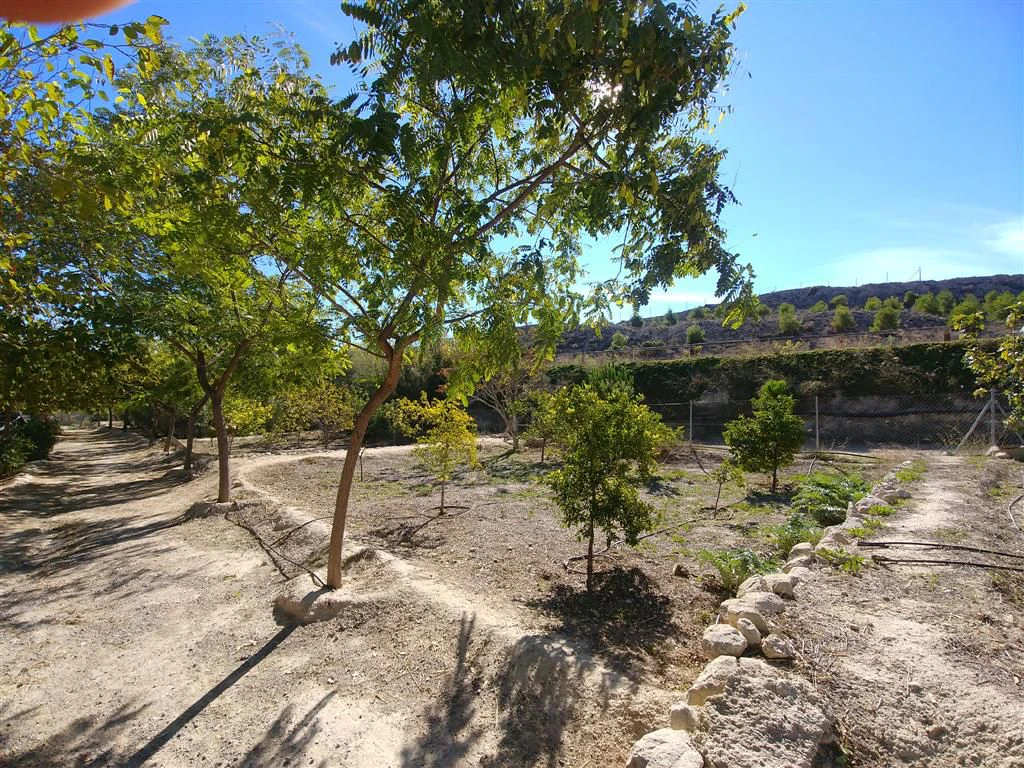 Finca en venta en Polígonos, Elche/elx, Alicante