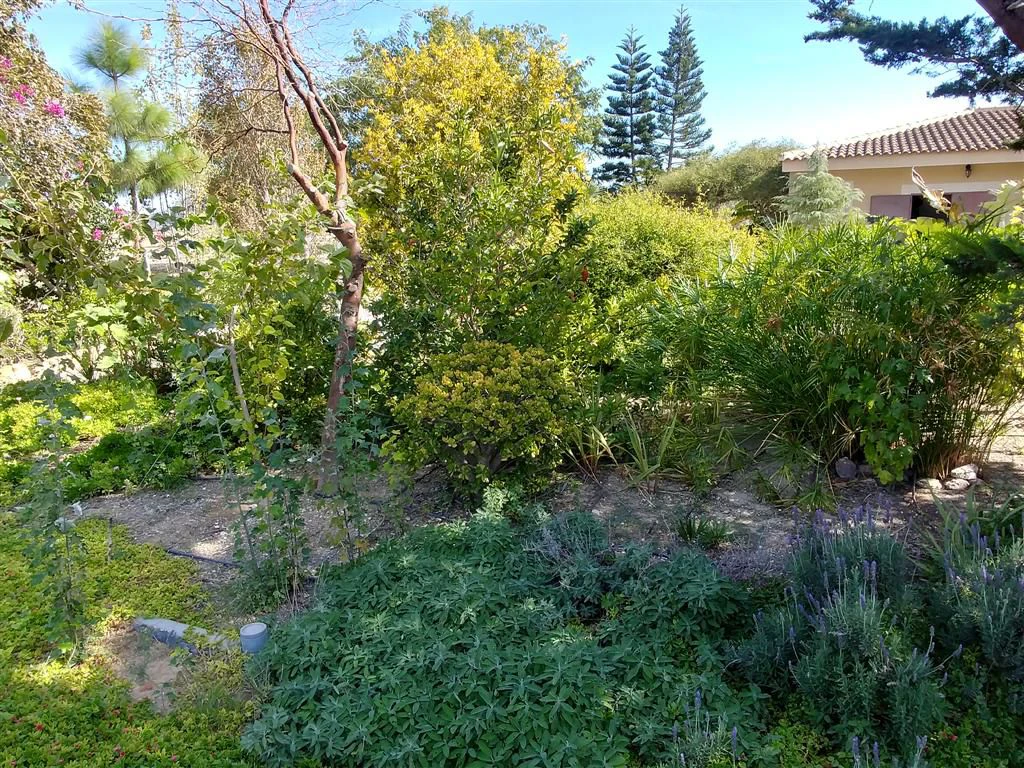 Finca en venta en Polígonos, Elche/elx, Alicante