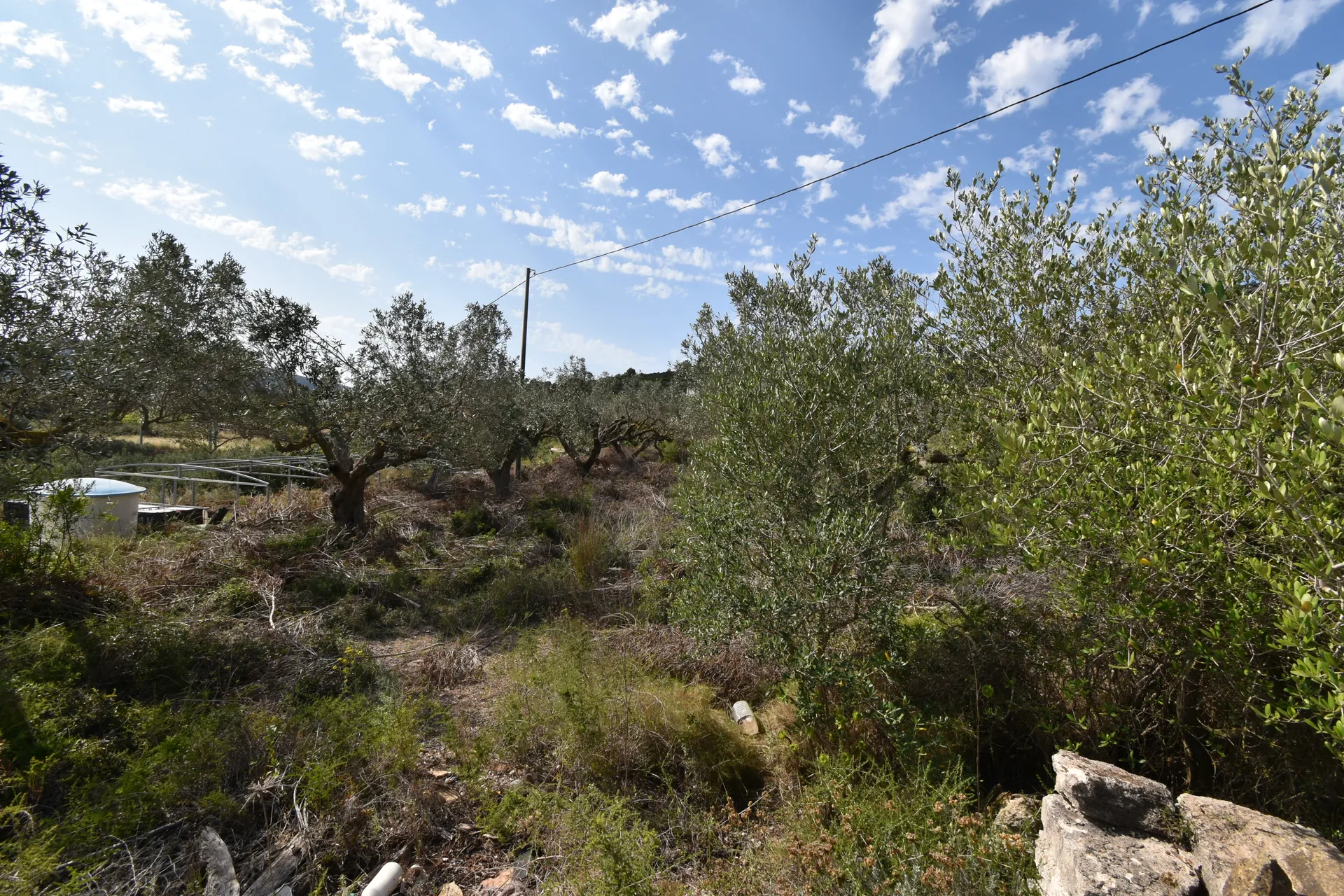 Rustic Plots