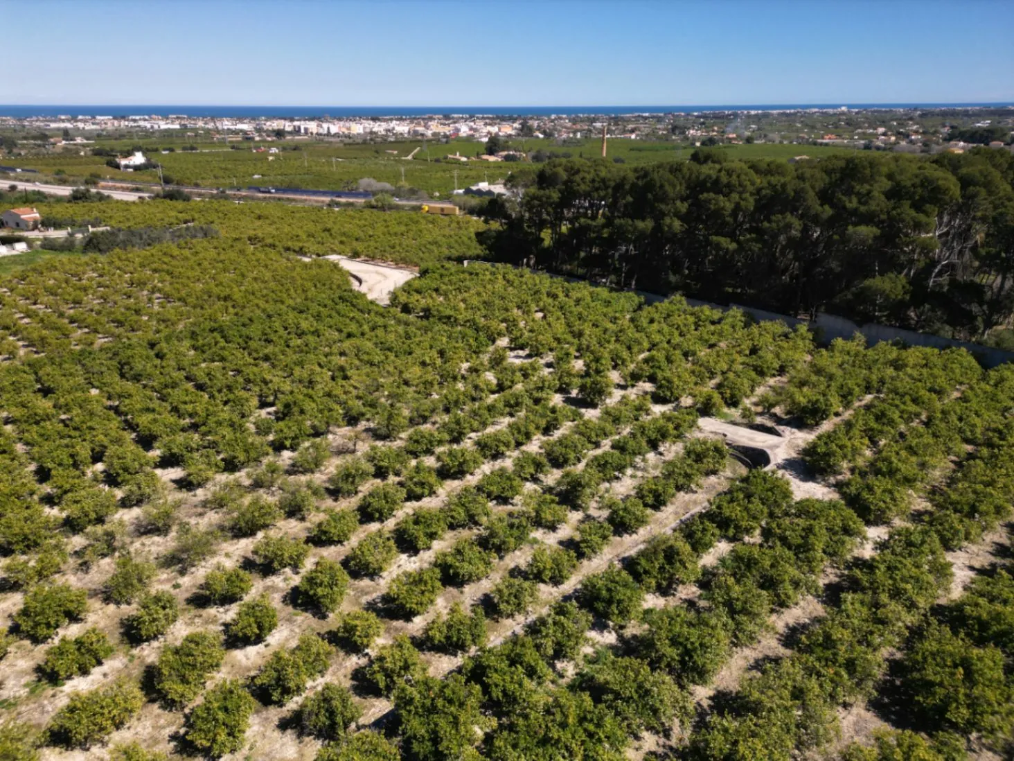 Sinaasappelboomgaard land te koop in Benidoleig - met bouwpotentieel en een prachtig uitzicht