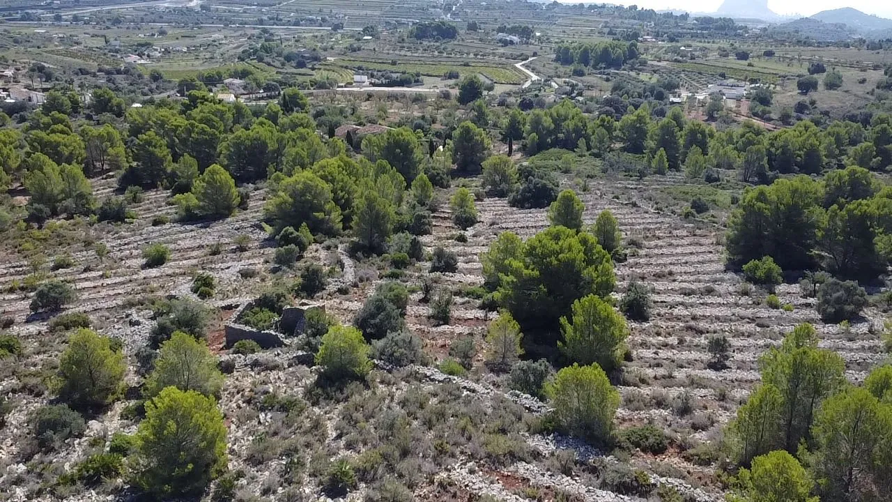 Enorm land in Benissa