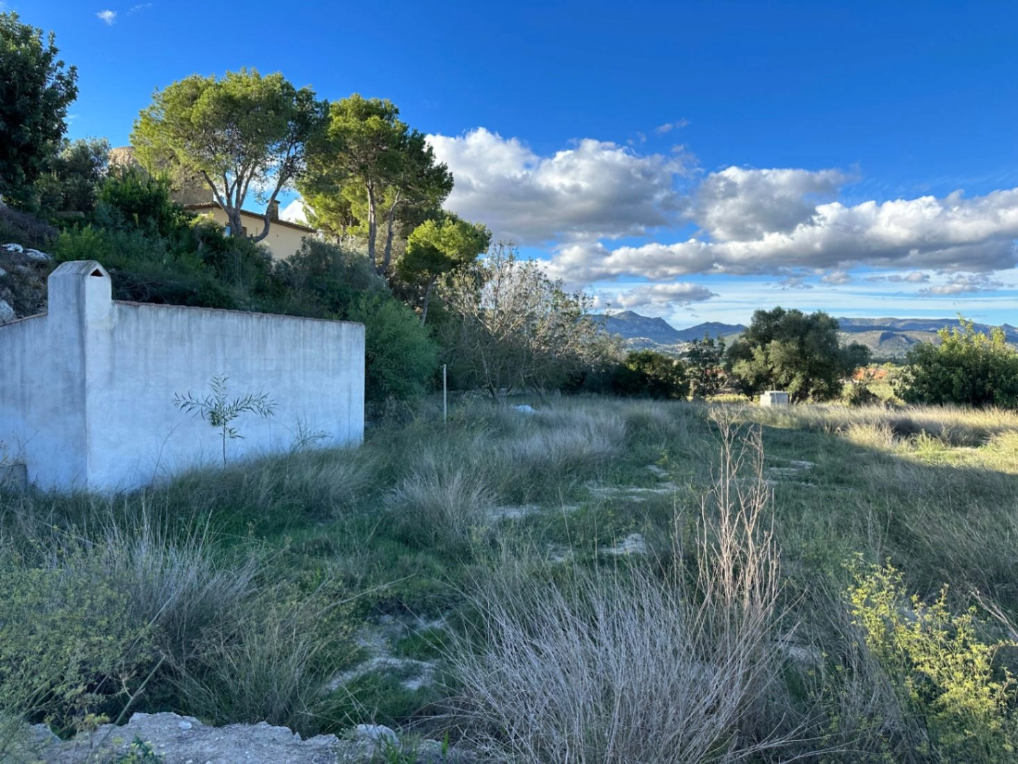 Bebouwbaar rustiek land in Denia