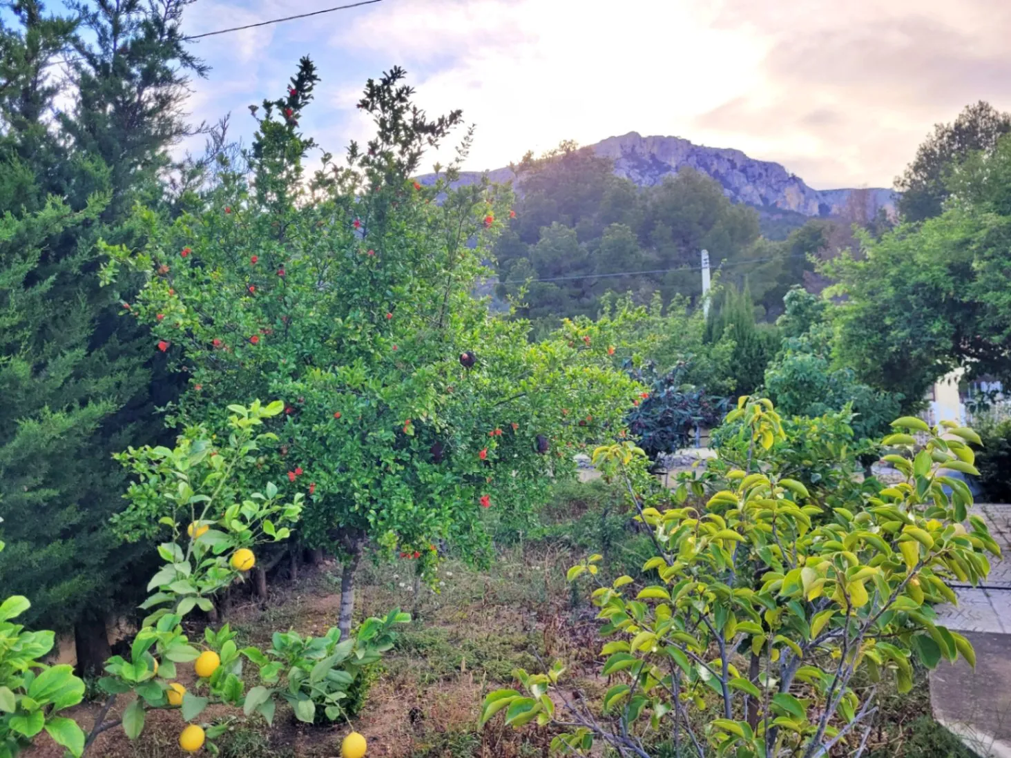 Vrijstaande Villa op Groot Perceel Te Koop in Calpe