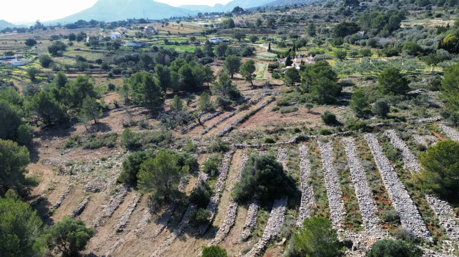 Enorm land in Benissa