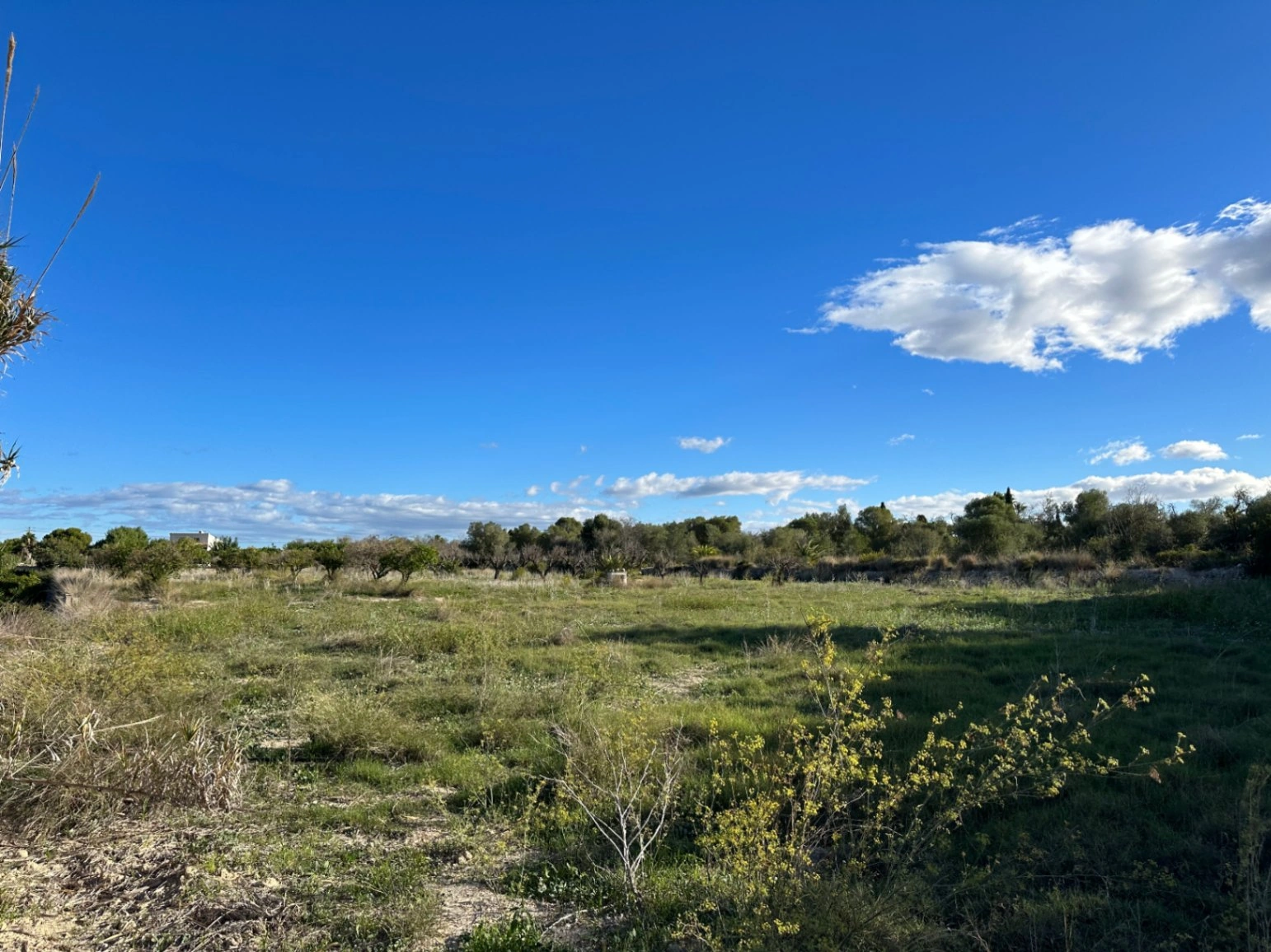 Bebouwbaar rustiek land in Denia
