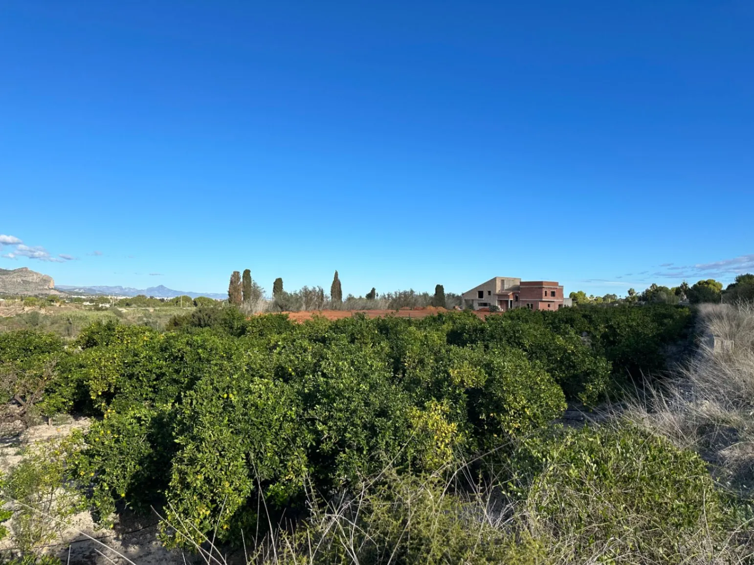 Bebouwbaar rustiek land in Denia