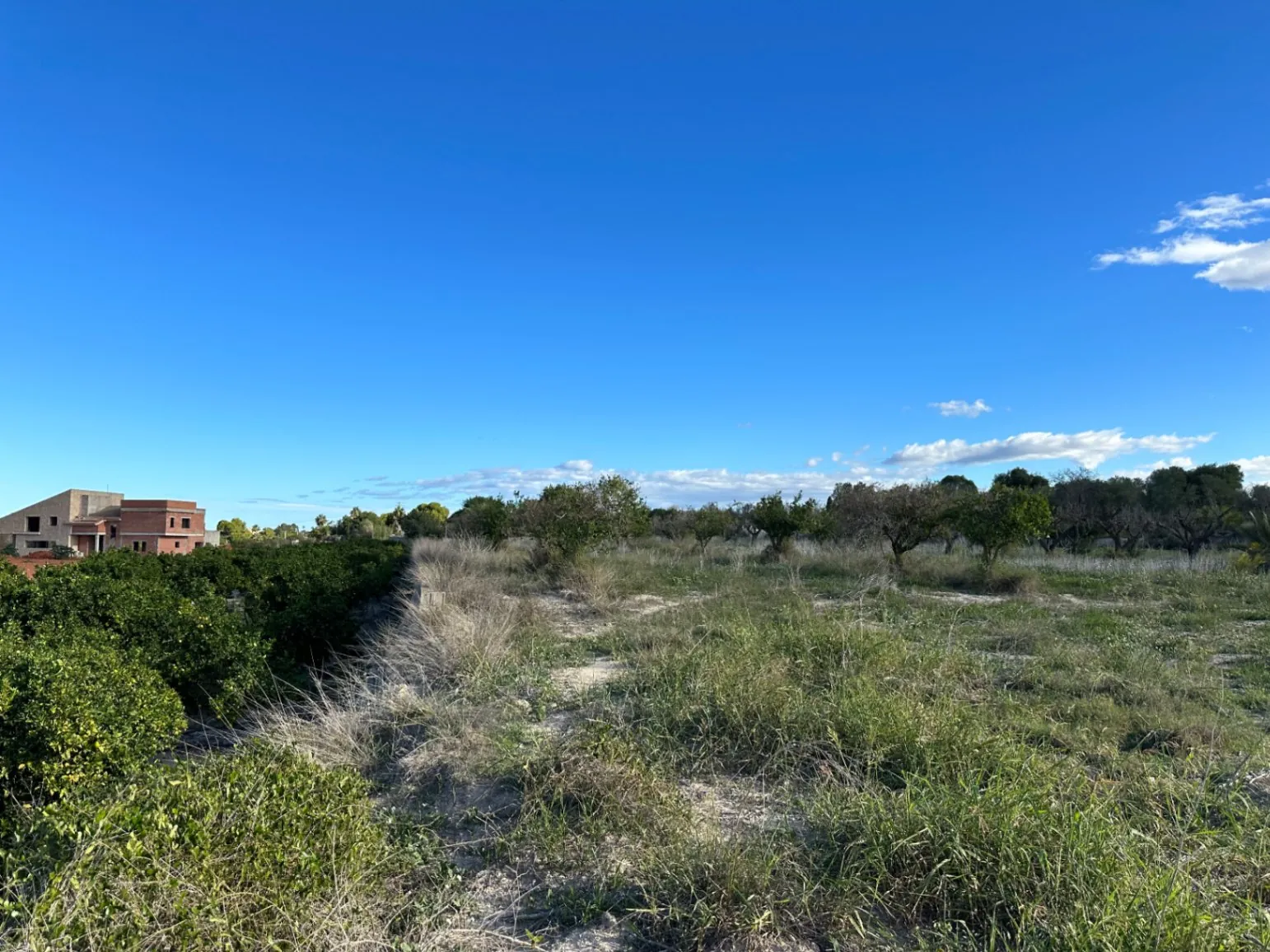 Bebouwbaar rustiek land in Denia
