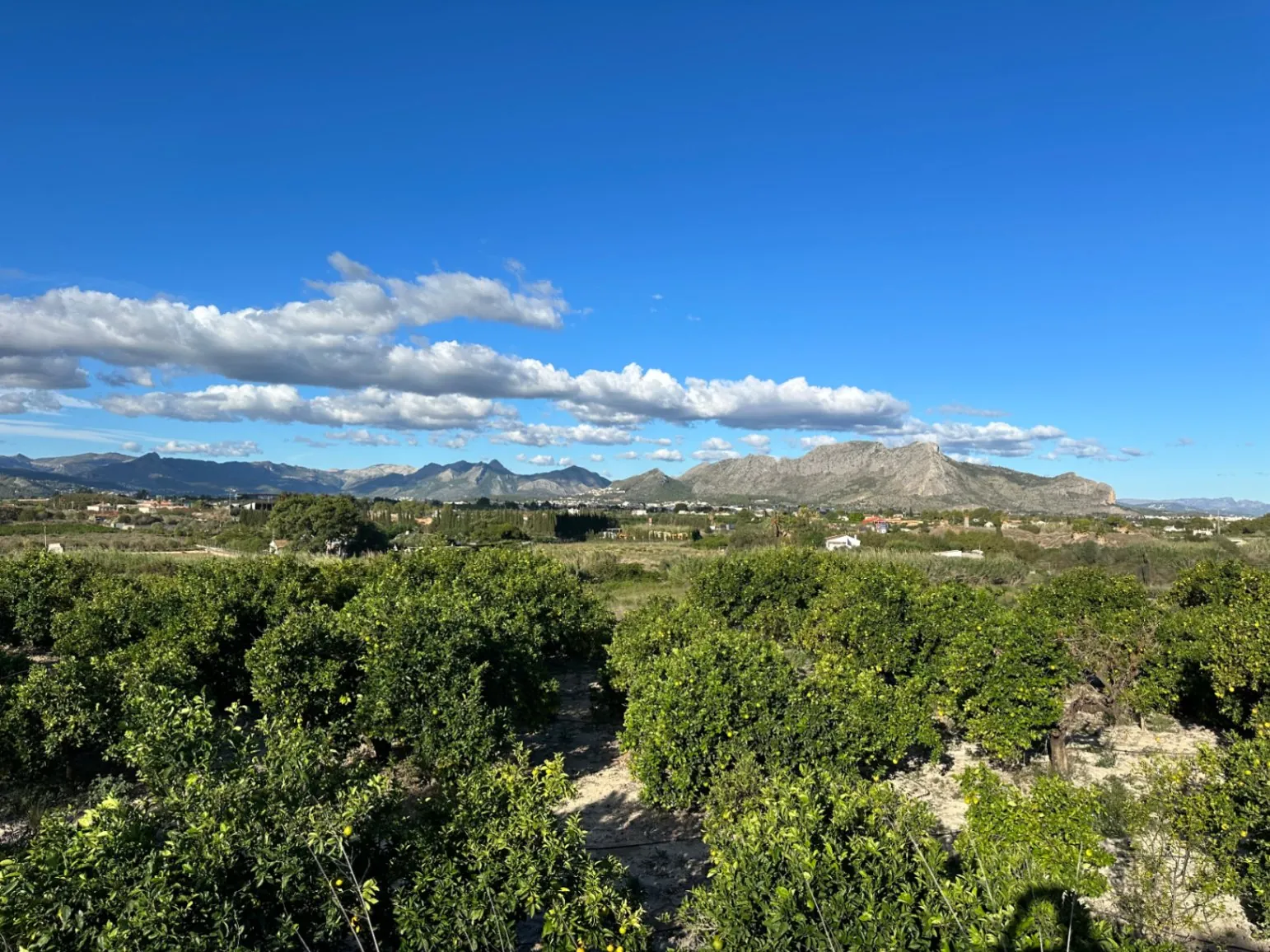 Bebouwbaar rustiek land in Denia