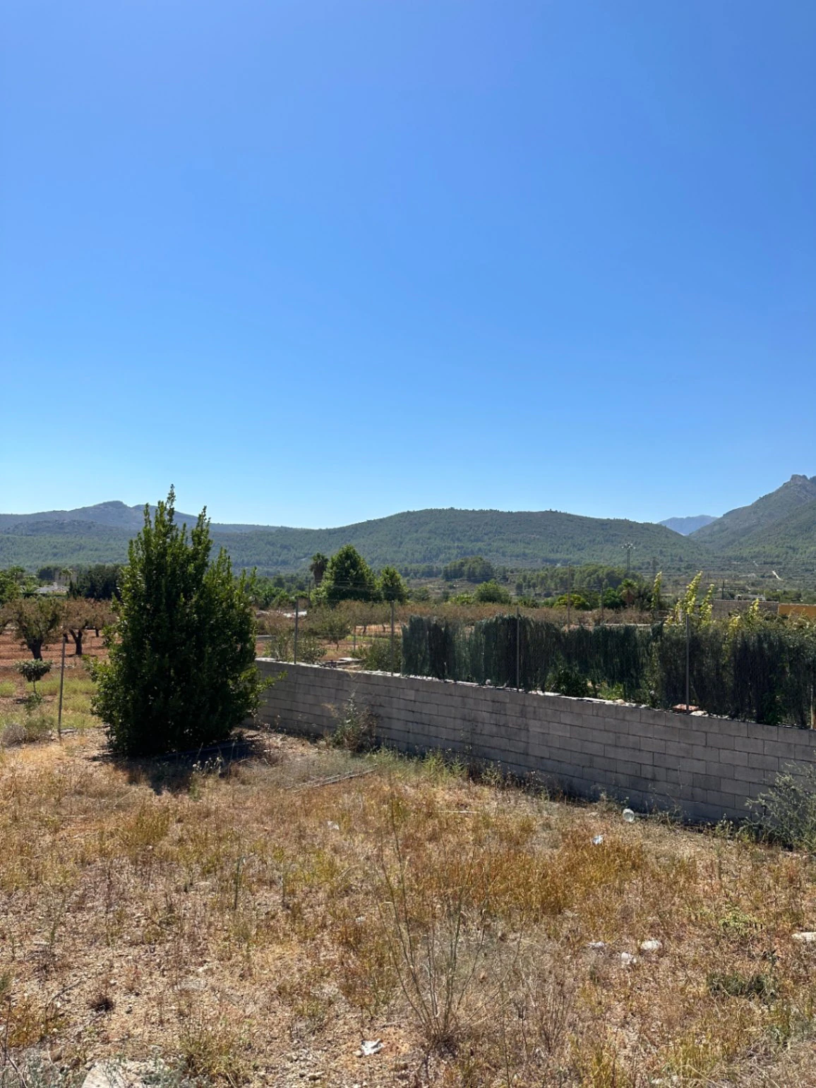 Urban plot for sale in Alcalalí
