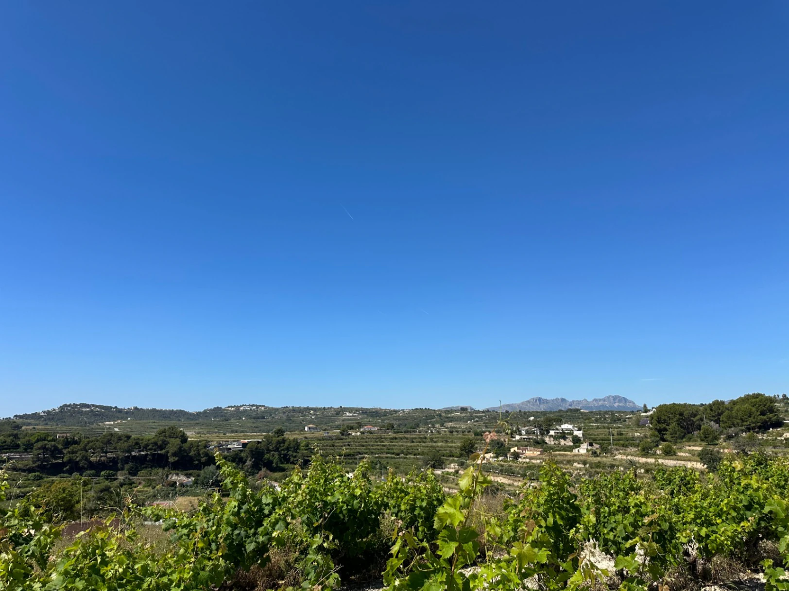 Exclusief Rustiek Perceel met Panoramisch Zeezicht in Teulada-Moraira