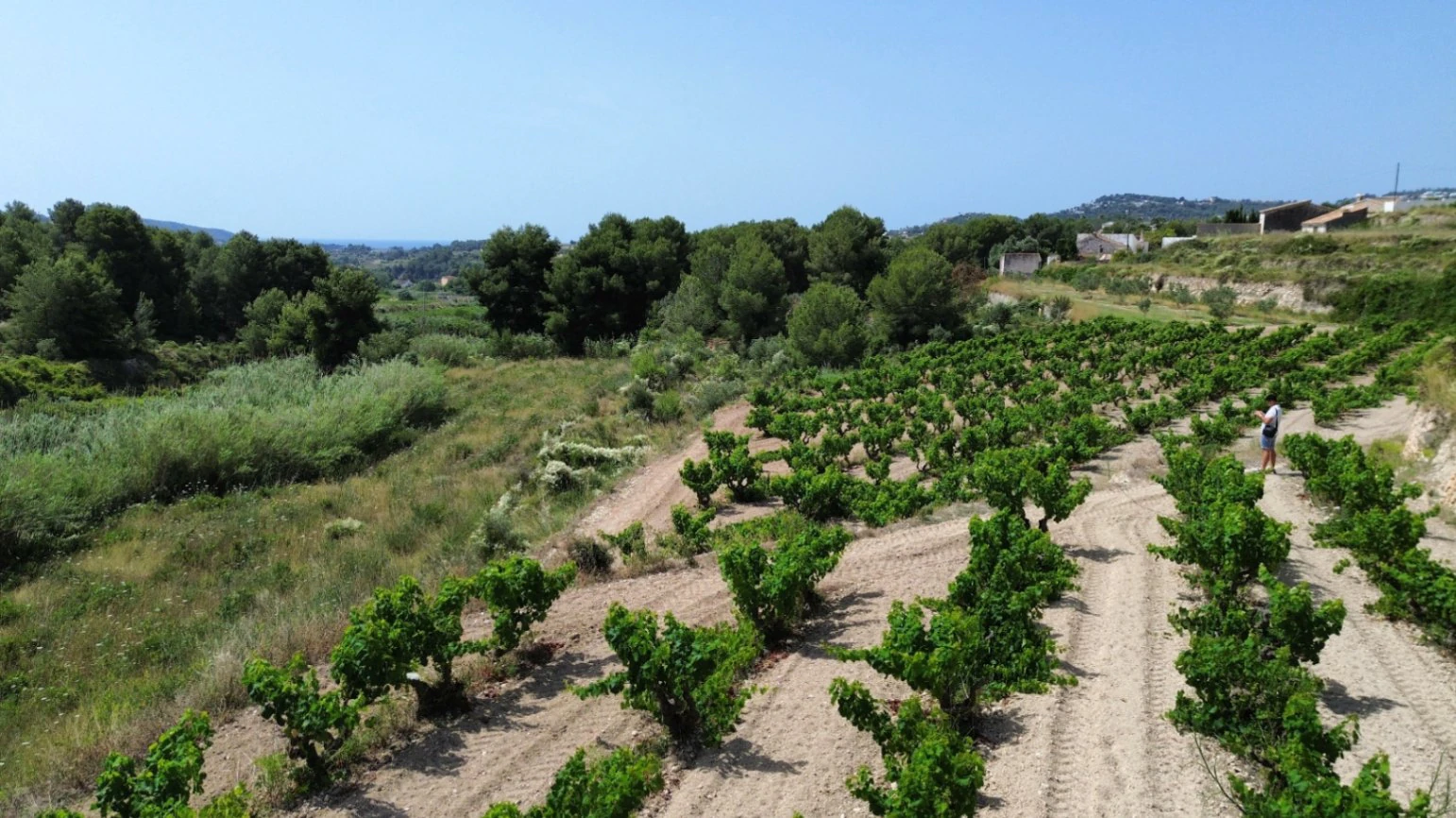 Rustic Building Plot with Sea Glimpses for Sale in Teulada-Moraira
