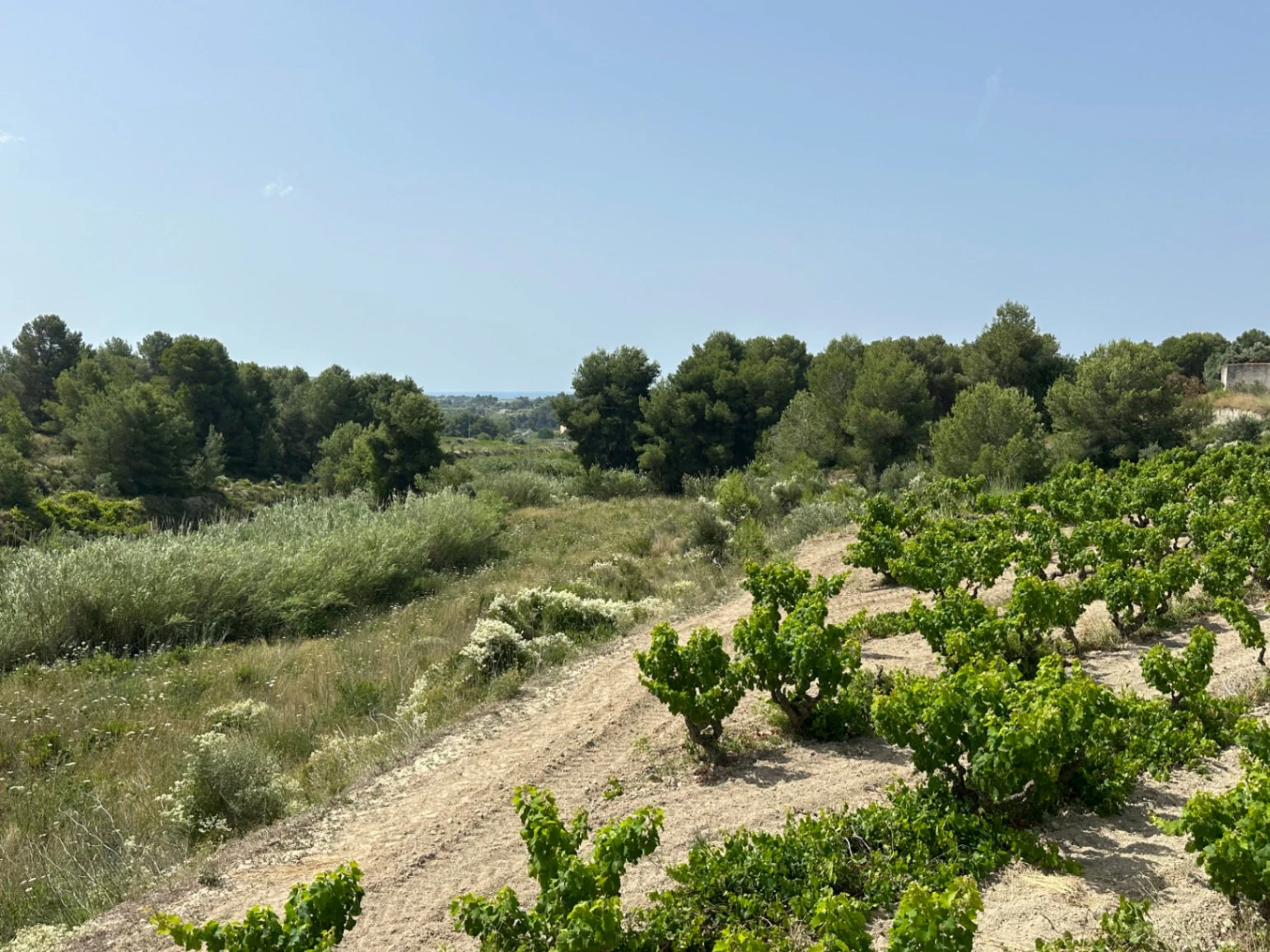 Rustic Building Plot with Sea Glimpses for Sale in Teulada-Moraira