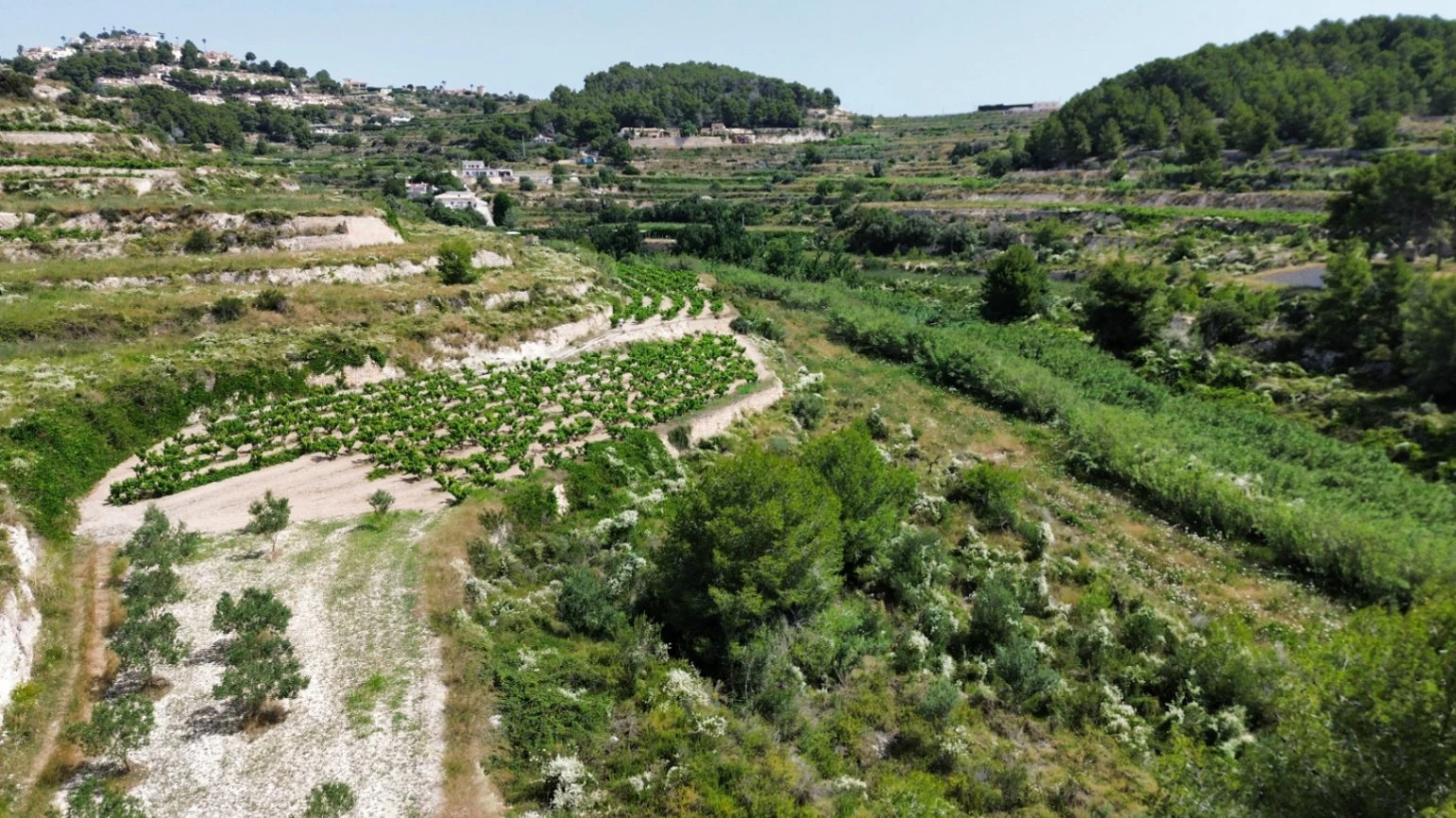 Rustic Building Plot with Sea Glimpses for Sale in Teulada-Moraira