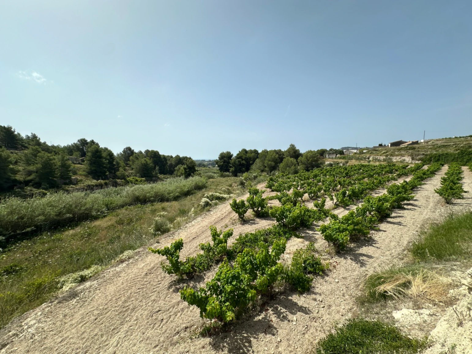 Rustic Building Plot with Sea Glimpses for Sale in Teulada-Moraira