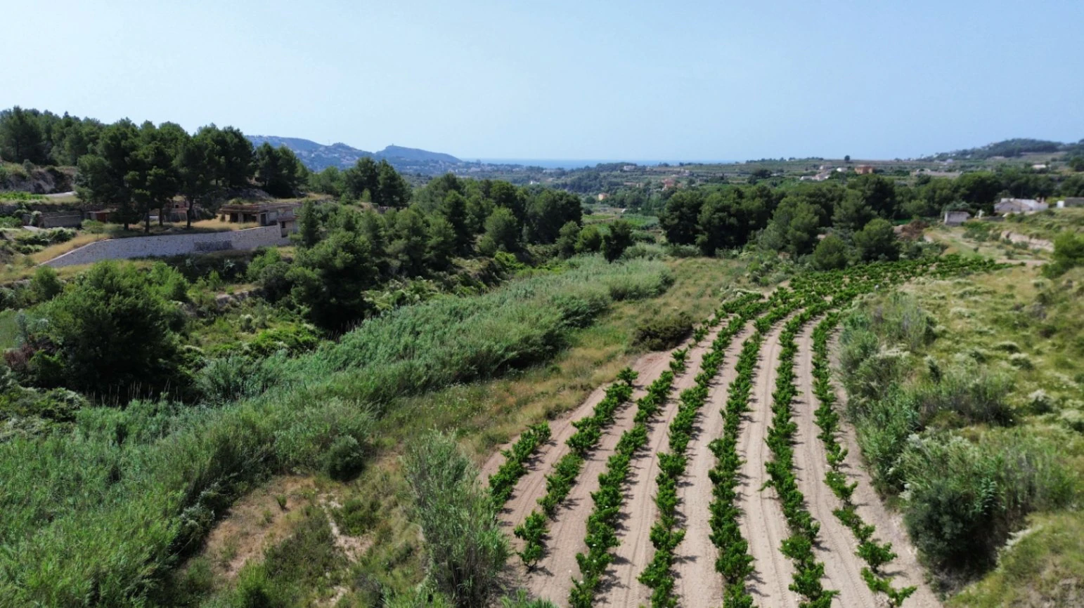 Rustic Land with Slight Sea Views for Sale in Teulada-Moraira
