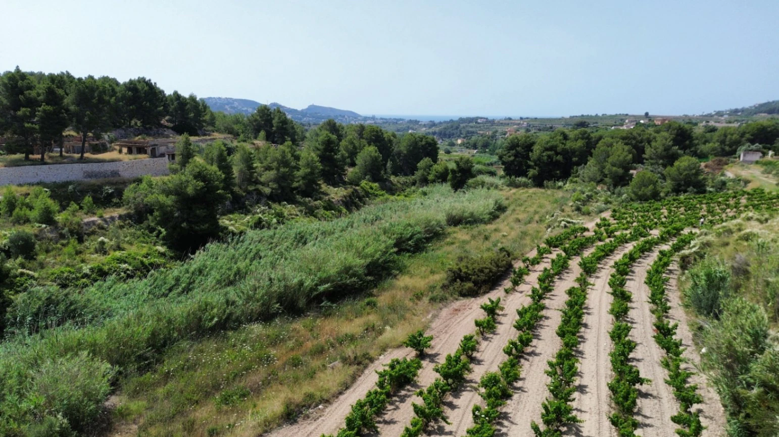 Rustic Land with Slight Sea Views for Sale in Teulada-Moraira