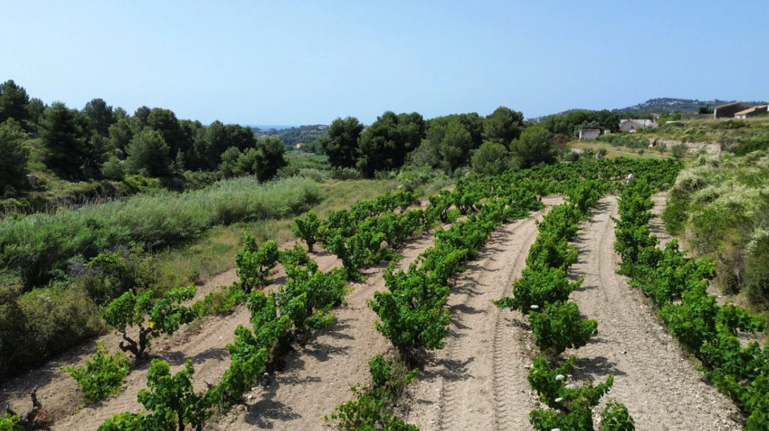 Rustic Land with Slight Sea Views for Sale in Teulada-Moraira
