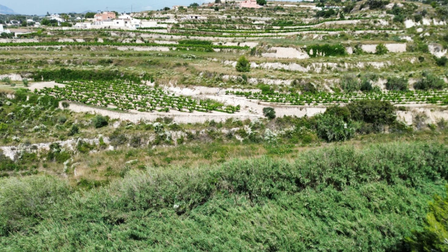 Rustic Land with Slight Sea Views for Sale in Teulada-Moraira