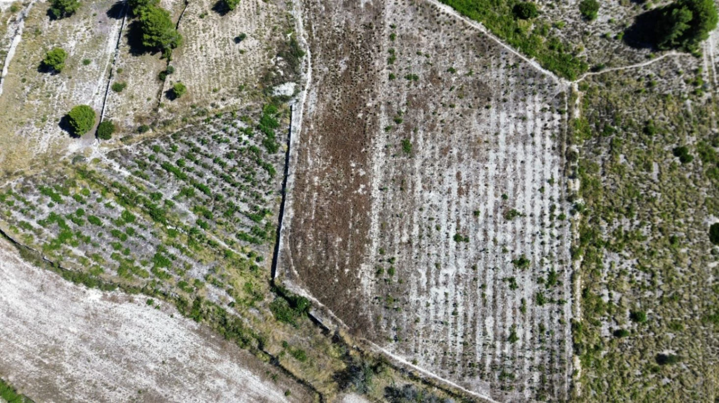 Exclusive Rustic Building Plot with 360º Panoramic Views for Sale in Teulada | 10,300 m² | Sea &amp; Mountain Views