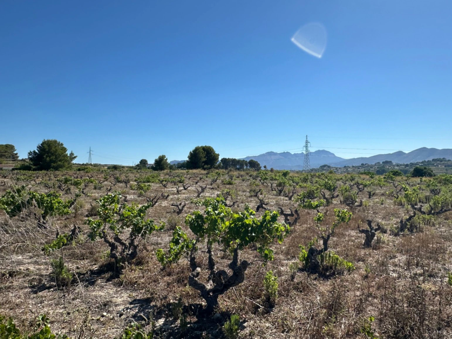 Exclusive Rustic Building Plot with 360º Panoramic Views for Sale in Teulada | 10,300 m² | Sea &amp; Mountain Views