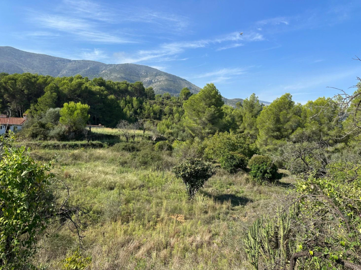 Parcela Urbana en Venta en Parcent – Parc Arenal, a Solo 1 km del Centro del Pueblo