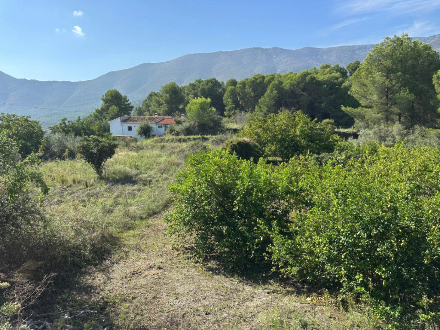 Parcela Urbana en Venta en Parcent – Parc Arenal, a Solo 1 km del Centro del Pueblo