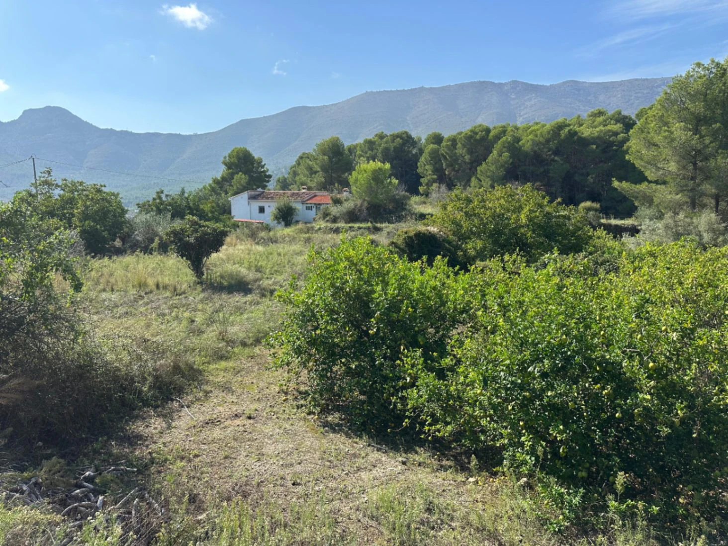 Parcela Urbana en Venta en Parcent – Parc Arenal, a Solo 1 km del Centro del Pueblo