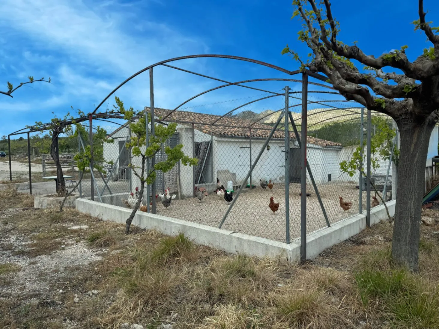 Country house for sale in Vall d'Alcalá (Alicante) and a plot of 12,000 m².